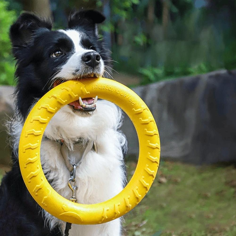 Indestructible Dog Chew Toy - Brinquedos de Anel para Cães Indestrutíveis